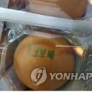 늘푸른영농조합법인 이미지