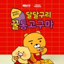 빽보이피자 이데일리