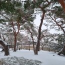 수일관 Daum카페