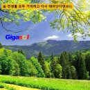 고종명(考終命)-행복한 죽음 이미지