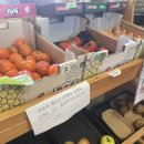 유바이잇 이미지