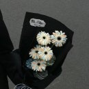 보성약국 | * 2월의 작은 일기 *