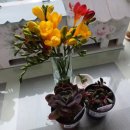 군산꽃직매장 | 군산 로컬푸드 직매장 후기
