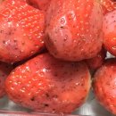 은기농장 이미지