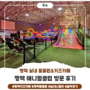 평택 키즈카페 애니멀클럽 후기, 실내 동물원 먹이주기 체험까지