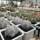 선인농장 이미지