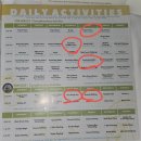 D.H휘트니스 헬스클럽 | 리조트에서만 꽉찬 3박 가능할까 | 식당/ 룸서비스/ 키즈프로그램/ 베이비시터 아이동반 정보 싹 다 후기