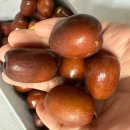 보은명품대추 | [기타] 부모님이 너무 좋아하는 '청풍명월장터의 명품 보은대추' 후기