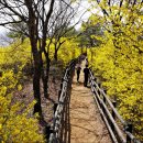 달맞이근린공원 이미지