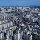 290 이미지