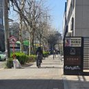 한방에 인공수정소 | 홍대 디저트 카페 산도 맛집 소각커피 주차 가능하고 카공하기 좋은 카페