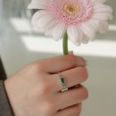 데이지 - 제주시 | 데이지