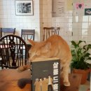 몽실쌀롱 이미지