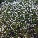 푸른행정사 이미지