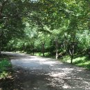 옥화자연휴양림 이미지