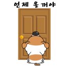 표나개 반려애견 미용실 이미지