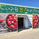 농약팜 | 울산 아이와 나리팜딸기 후기 + 똘똘이 딸기농장 소꿉놀이