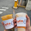 코코버블티경희대 이미지