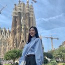 광장24호 이미지