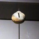 [가야본성] 공존 국립중앙박물관 특별전 이미지