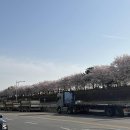 이디야구일역점