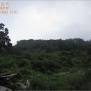 질가마골 이미지