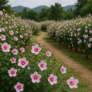무공수훈자회 경기도지부하남시지회 | 🌸신천지자원봉사단 하남지부, 무공수훈자회에 무궁화 100그루 기증 나라꽃 무궁화를 품은 따뜻한 나눔😊🌸