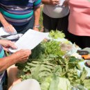 대신주말농장 정보화마을 이미지