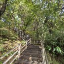 해파랑길 50코스 통일전망대 출입신고소에서 통일전망대 까지 총거리11.4km 소요시간2시간20분 이미지