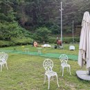 백운장뇌삼관광농원 | 원주펜션 원주 포레스트 돔에서 자연과 함께하는 완벽한 쉼터