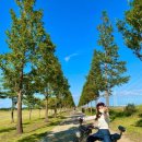 인선한의원 이미지