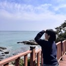 송원탕 | 5월 부산 가볼만한곳 해운대 블루라인파크 근처 놀거리