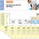 토마토약국 이미지