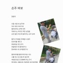 손주 바보 이미지