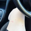 제일카종합병원 | 모리셔스 3,4일차 기록 카젤라파크 물벼룩 향유고래수영 수중폭포 경비행기투어