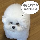 청보플랜 | [용산구청 음식물처리기 보조금] 미닉스 더 플렌더 구매기 + 신청절차·꿀팁 총정리