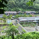 로뎀나무펜션 이미지