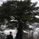 차돌배기로 이미지