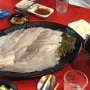사능회포차 이미지