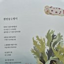 갯민숭달팽이 / 박희순 이미지