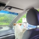 청산빌리지펜션 이미지