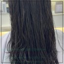 에이노이헤어에서 댄디컷 받은 솔직한 후기!