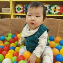 꽃처럼 - 송파구 올림픽로49길 8 | 꽃처럼