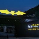 천곡황금박쥐동굴 이미지
