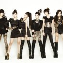 티아라 카카오 검색결과
