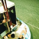 부용수지 이미지