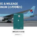 드림광고 이미지
