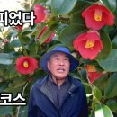 거제 남파랑길 18코스｜두모몽돌·매미성·대금산 겨울 여행 브이로그 (머루 오영석) 이미지