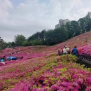 도장중 앞 이미지