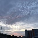 수수께끼 이미지